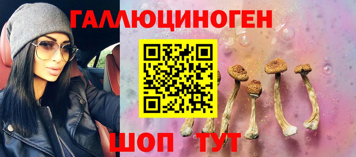 Псилоцибиновые грибы ЛСД  Вход с VPN  Севастополь  Галлюциногенные грибы Psilocybe 