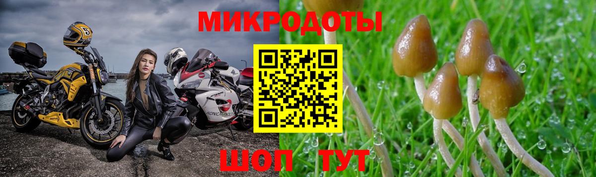 Псилоцибиновые грибы Cubensis Севастополь